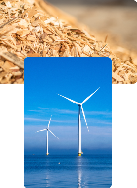 装飾画像（葉）