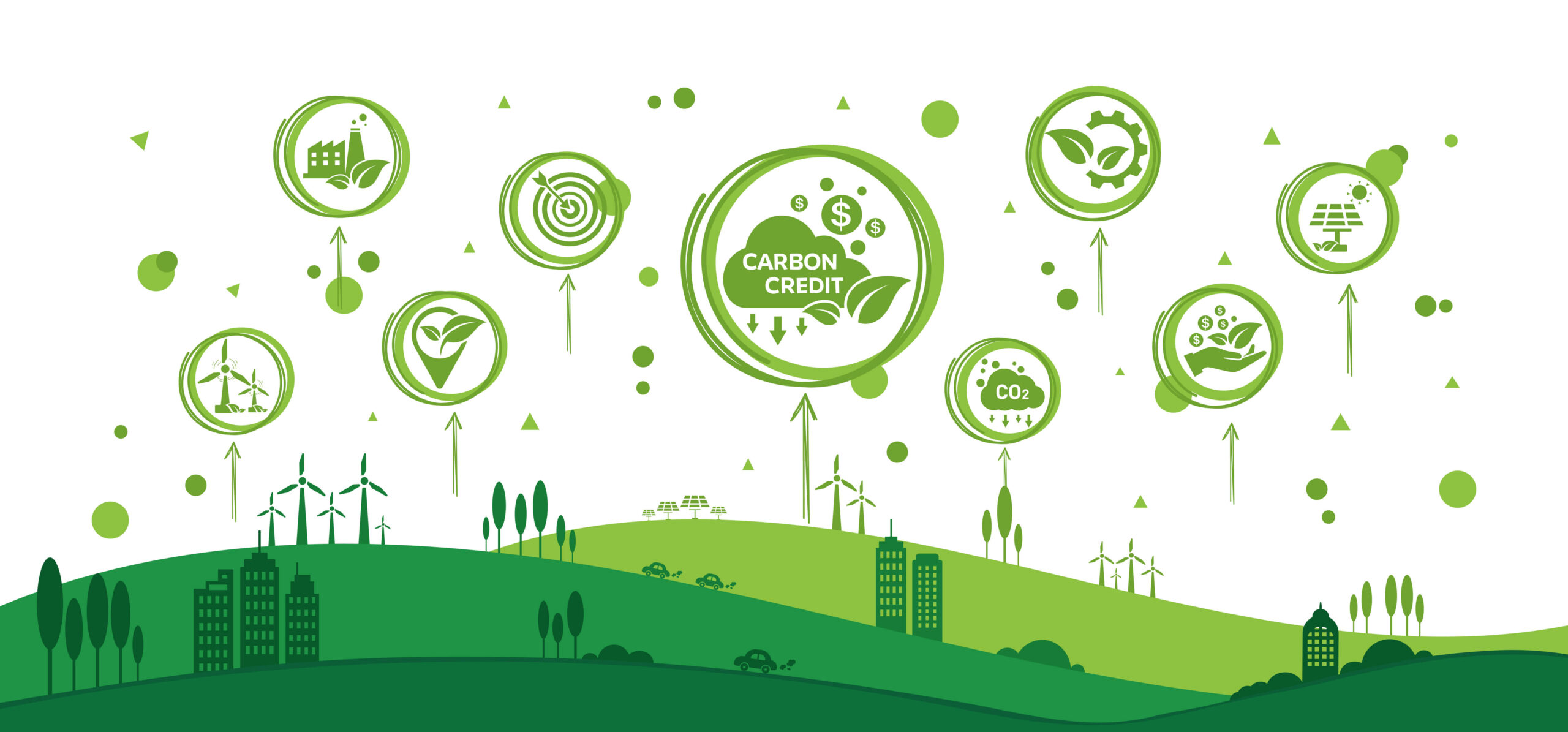 Explaining The Definition Of A Carbon Footprint OFFSEL BLOG