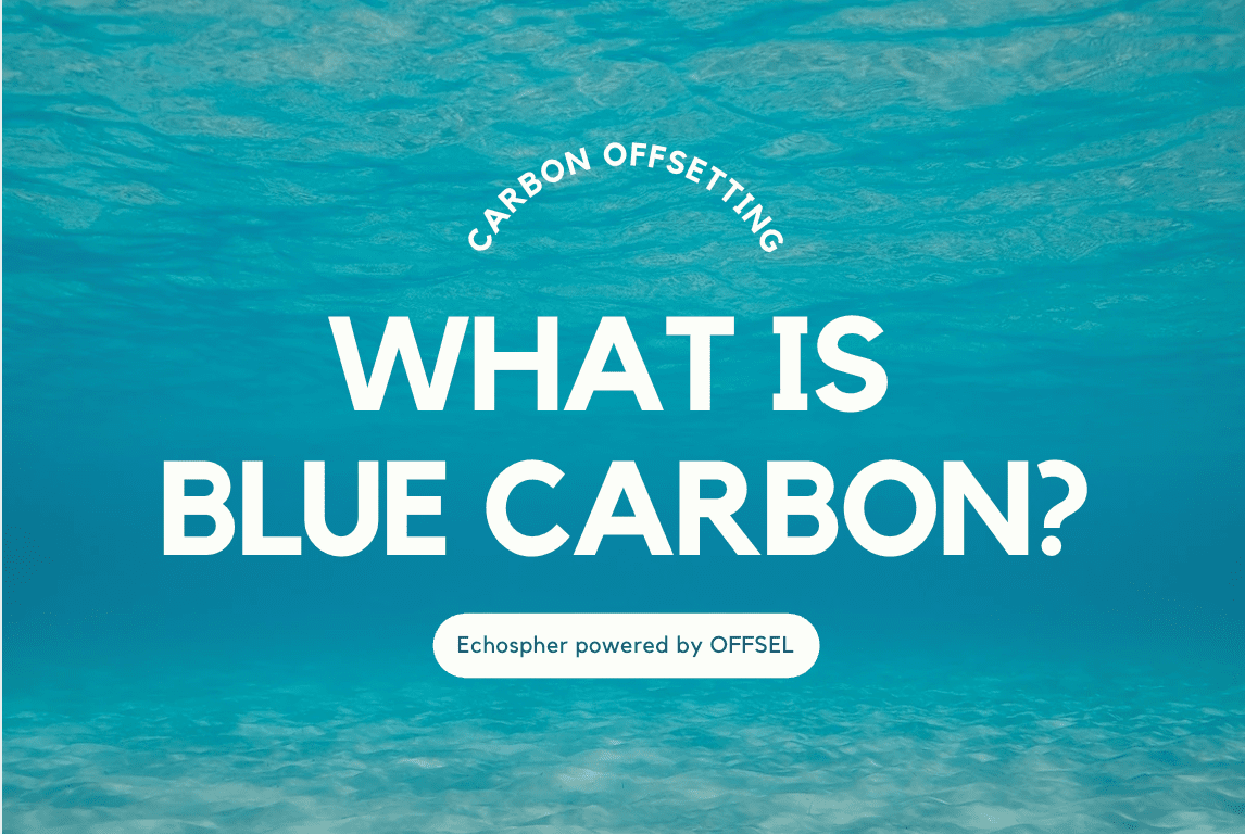 blue carbon