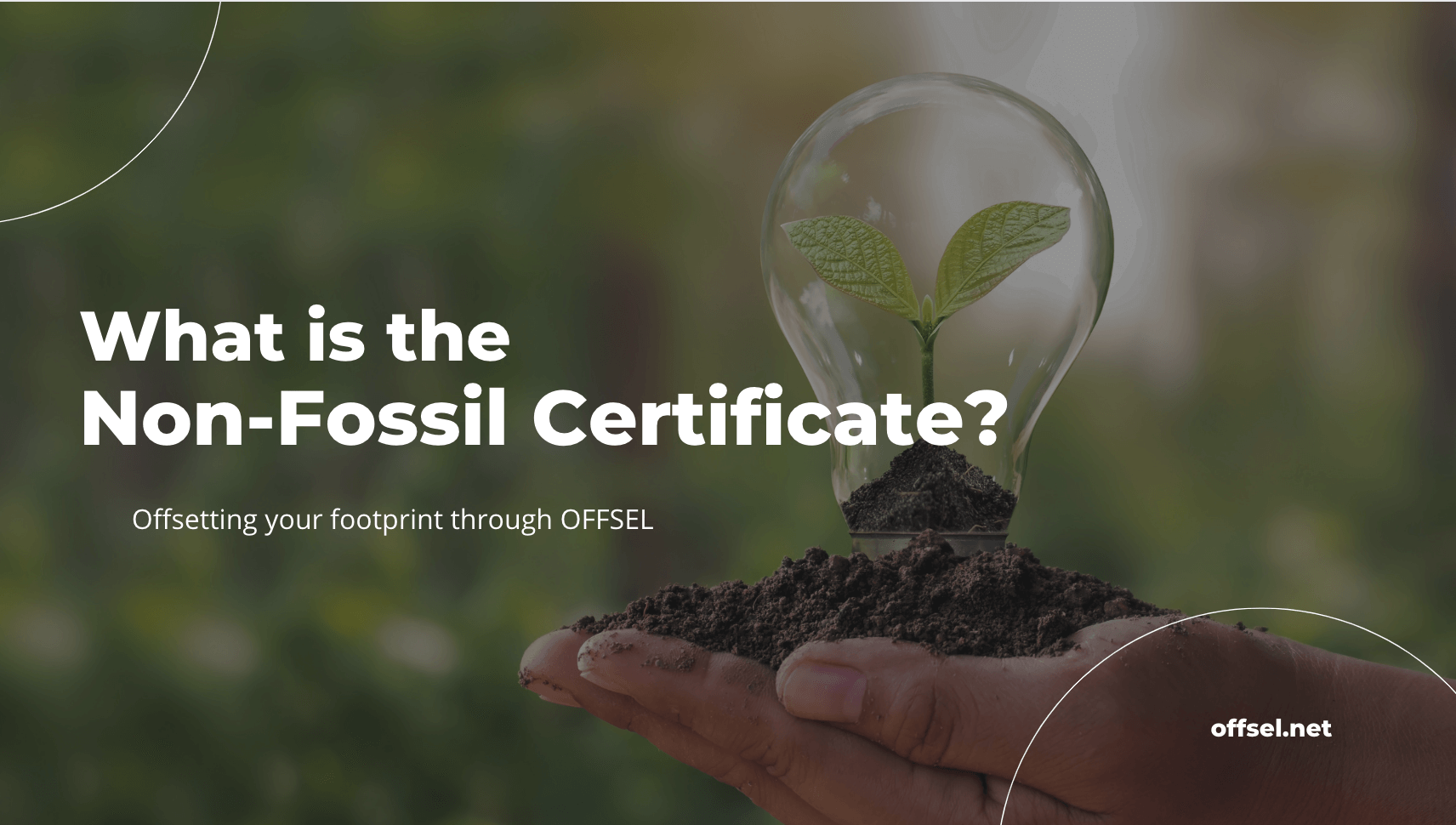 non fossil certificate