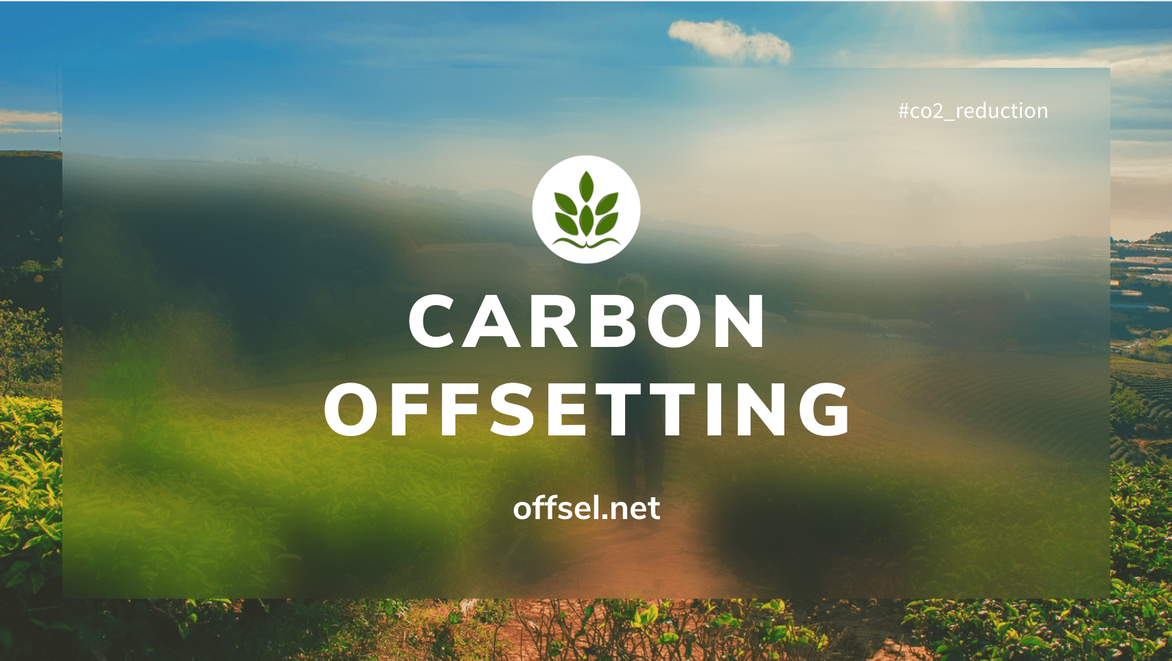 carbon offsetting