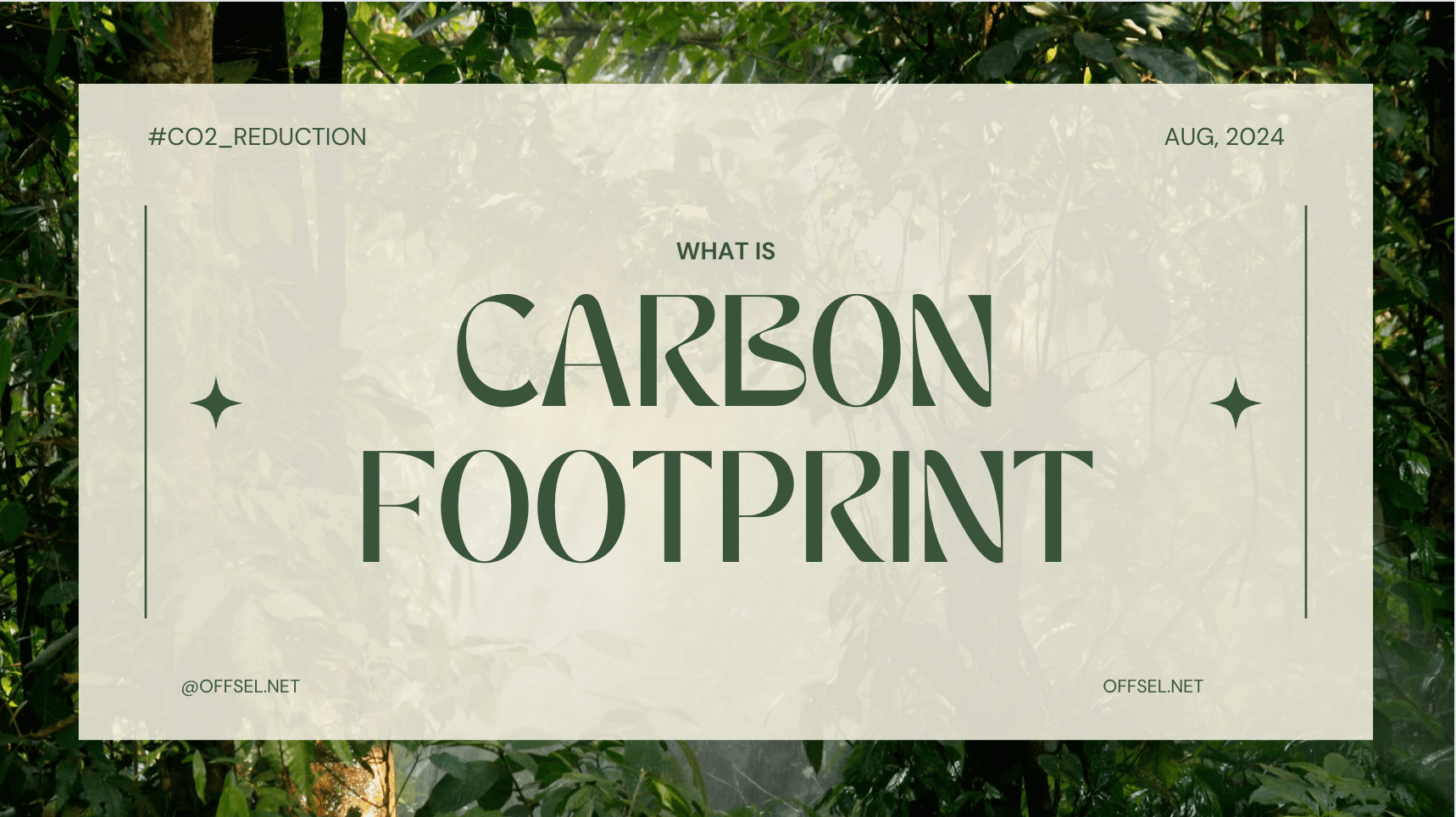 carbon footprint