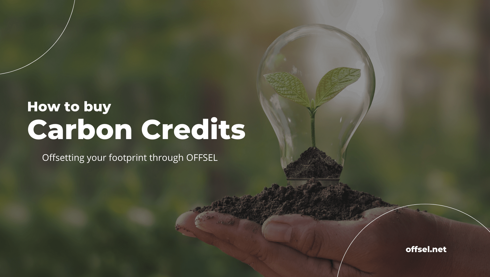how to buy carbon credits