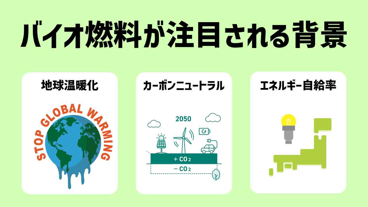 バイオ燃料1000個